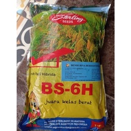 Benih Padi Hibrida Bshs 6h 1kg Sterling Exp sept 2022 Produktivitas Ti