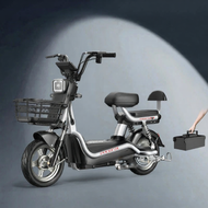Compact Portable Adult Electric Bicycle
