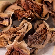 Bunga Mukmin (Bunga Ratu Pari) Bombax Ceiba 木棉花 【Dried flower】