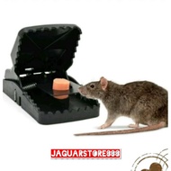 Double SPRING PLAIN RAT TRAP/RAT TRAP/RAT REMOVAL
