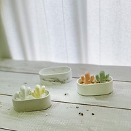 室內香氛造型擴香石-療癒仙人掌 + 橢圓形栽器 / 質感收納盤