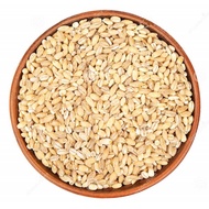 Biji Barli / Barley / Barli - 700g