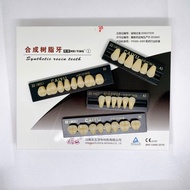Caiyu Plastic Teeth Blister 28 Teeth, 6 Teeth, 8 Teeth Color A1 A2 A3 A35 Used to Learn Grinding, St