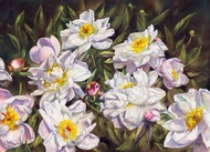 藝術家 Irina Zhunaeva 的牡丹原創水彩畫