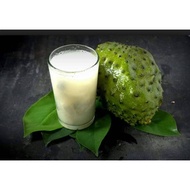 Pokok Durian Belanda