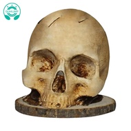 1 Piece Knives Holder Kitchen Storage Skull Knife Holder As Shown Horror  Shape Knive Holder Scary K
