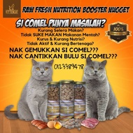 KITTENCAT RAW FRESH NUTRITION BOOSTER NUGGET MEOW