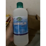 Formalin in aquaculture 1 LITER