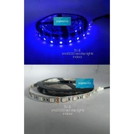 ♞,♘12v AND 220V SET- 5meters Blue smd5050 Led strip lights for ceiling cove lights