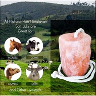 Pure Natural Animal Licking Himalayan Pink Salt Lick Stone Horse Salt Lick, Cow, Goat