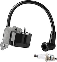 4229 400 1300 Ignition Coil, for, Leaf Fan Blower BG55 BG65 BG85 BG45 BG46 BR45 BG50 SH55 SH85 SH85B