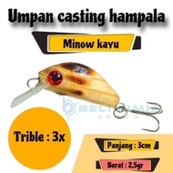 UMPAN CASTING MINOW / MINOW CASTING