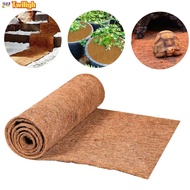 【TWILIGH】30/40/50x100CM Sheet Coconut Palm Mat Cuttable Floor Mat Door Mat Coir Mat