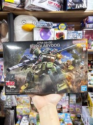 ‼️門市現貨‼️  Bandai gunpla  HG 裝甲騎兵 強盜犬