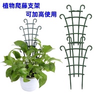 Plant Climbing Trainer Stand, Potted Vines &20260807