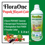 Pupuk organik hayati cair PGPR untuk tanaman cabai RHIZOBIUM SP Trichoderma Harzianum untuk bawang m