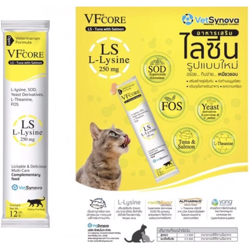 VFcore สีเหลือง อาหารเสริมไลซีนสำหรับน้องแมวและสุนัข