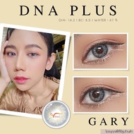 คอนแทคเลนส์  DNA Plus  : Brown - Gray / ยี่ห้อ Gaezz Secret ( ค่าสายตาปกติ - 1000 )