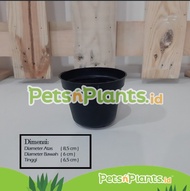 Pot Plastik Tanaman Bunga BULAT Hitam Ekonomis Tahan Panas - Diameter 9 CM, Tinggi 6 CM