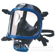 1710643Full Face Mask Full Face Mask Full Face Mask Sporien COSMO|Chemical and Virus Protection   OH