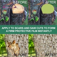 [deevoka] Tree Wound Sealer Pruning Grafting Sealant Tool Garden Bonsai Tree Cut Paste