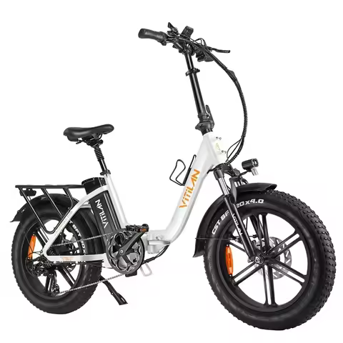 Foldable Electric Bike 20*4.0 inch Fat Tire 750W Motor E-Bike 48V 20Ah Removable Lithium Battery Vit