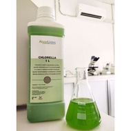 Algae Living ALCV Fresh Chlorella Green Water For Aquaculture