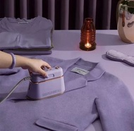 DAEWOO紫色乾濕蒸氣熨斗 舊客可平