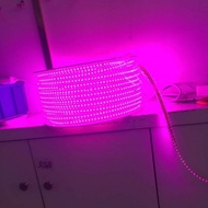 UNGU PINK LED STRIP Light Purple/ SMD 5050-60D waterproof AC 220V