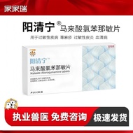 阳清宁马来酸氯苯那敏片爱合宠物波犬猫狗抗过敏瘙痒湿疹皮炎Yangqingning Chlorphenamine Maleate Tablets Aihe Pet20260119