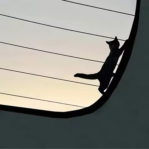 Cat car sticker - Cat sticker - Dashboard sticker - Concealed sticker - Cute elastic cat sticker - C