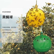 Fly Trap Sticky Insect Ball Fruit Fly Fruit Fly Trap