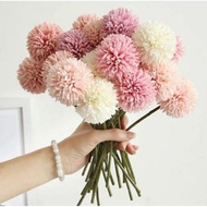 Dandelion Flower 🌸🌸🌸