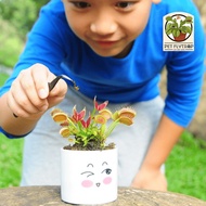 Venus Flytrap Clip Trap, prey plant, predatory plant for home decoration, office decor