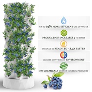 New Design Aeroponic Vertical Tower Indoor Plant Garden Growing Systems Vertical pineapple hydroponi