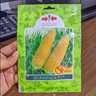 benih jagung manis bonanza - bibit jagung manis - panah merah