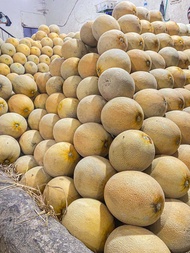 MELON MADU SUPER MANIS