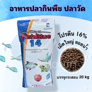 อาหารปลากินพืช เม็ดใหญ่ โปรตีน16% FishBlue14 อาหารปลาวัด อาหารปลาเม็ดใหญ่