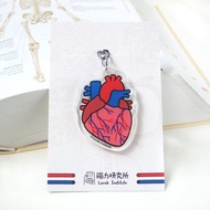 心臟 內臟鎖匙扣 鑰匙圈科學 畢業