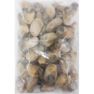 鲜蚝肉 FRESH OYSTER MEAT