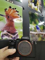 Sony A7R2 A7R II A7R M2 A7RM2 BODY 抵玩，高像素