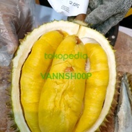 BUAH DURIAN MUSANG KING UTUH/DURIAN SULTAN MALAYSIA ASLI