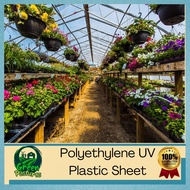 ◧ ◆ ❀ UV Plastic Sheet 8 mil - 200 Microns -  9ft x 5 Meter For Greenhouse Roofing / Construction