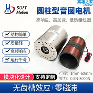 【好康】微型音圈電機柔性振動高精度控制驅動器模組圓柱扁平直線擺動馬達