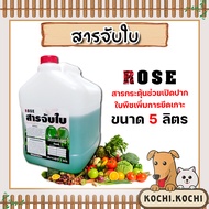 สารจับใบ ขนาด 5ลิตร Rose สารจับใบสูตรพิเศษ ยึกเกาะแน่นติดทน ซึมซับเร็ว  ยาจับใบ จับใบเข้มข้น ของแท้