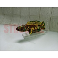 PATUNG WAYANG BONEKA CHANA AURANTI, YELLOW MARU, RED MARU,blue PULCHRA/IKAN GABUS (STRUGGLE)AQUARIUM