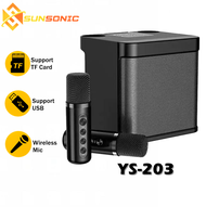 YS-203 Portable Bluetooth 3D Stereo Amplifier Party Karaoke Speaker With Wireless Dual Microphone