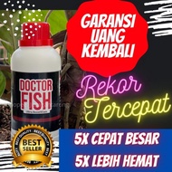 Vitamin Ikan Lele,Vitamin ikan Lele Alami,Vitamin ikan Lele