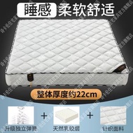Others - 席夢思床墊 軟硬兩用家用雙人經濟型椰棕彈簧床墊