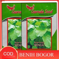 ( BENIH BOGOR ) 50GR BIBIT UNGGUL BAYAM HIJAU BENUA - BENIH BAYAM  BAYAM CABUT / POTONG